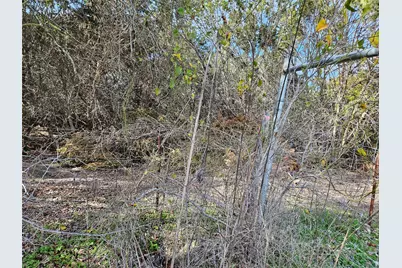 17726 N Fm 973 Road, Manor, TX 78653 - Photo 12