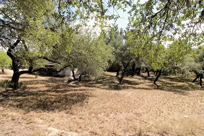 17201 Oak Cliff Circle, Dripping Springs, TX 78620 - Photo 1