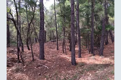 152 Molokini Drive, Bastrop, TX 78602 - Photo 4