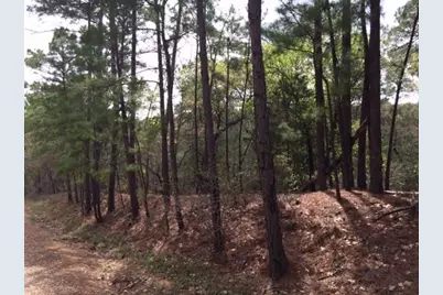 152 Molokini Drive, Bastrop, TX 78602 - Photo 1