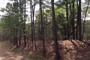 152 Molokini Dr, Bastrop, TX 78602 - Photo 1