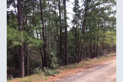 152 Molokini Drive, Bastrop, TX 78602 - Photo 2