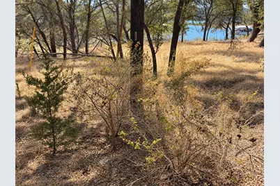 1211 Fawn Park, Lago Vista, TX 78645 - Photo 18