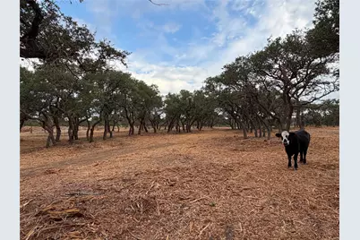 7257 Cr 252, Bertram, TX 78605 - Photo 2
