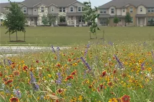 517 Katmai Cir, Pflugerville, TX 78660 - Photo 14