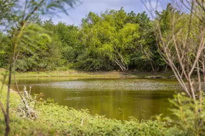 Tbd Highway 77 S, Giddings, TX 78942 - Photo 4