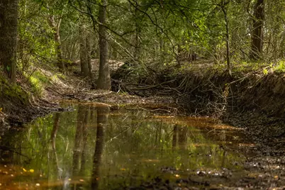 Tbd Highway 77 S, Giddings, TX 78942 - Photo 10