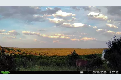 0 Trails End Road, Leander, TX 78641 - Photo 34