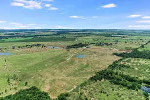 14325 FM619, Coupland, TX 78615 - Photo 16