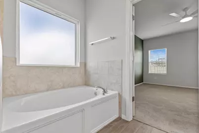 261 Hortus Drive, Kyle, TX 78640 - Photo 20