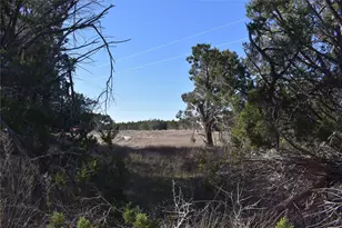 Lot 35 Riparian Elm Rd, Bertram, TX 78605 - Photo 6