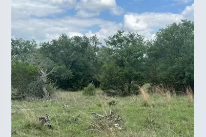 Lot 41 Maverick Way, Briggs, TX 78608 - Photo 4