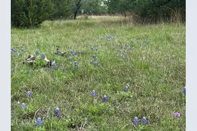 Lot 41 Maverick Way, Briggs, TX 78608 - Photo 10