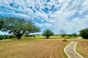 1040 Hwy 80 E, Nixon, TX 78140 - Photo 4