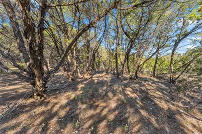 8614 Bar K Ranch Road, Lago Vista, TX 78645 - Photo 12