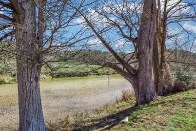 202 Lazy L Lane, Wimberley, TX 78676 - Photo 2