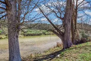 202 Lazy L Ln, Wimberley, TX 78676 - Photo 2