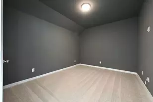 221 Wild Lily Trl, Georgetown, TX 78628 - Photo 20