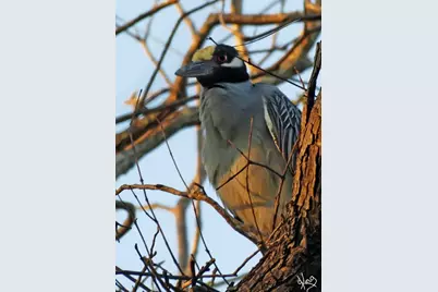 1601 E 19th Street, Georgetown, TX 78626 - Photo 28