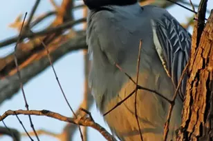 1601 E 19th St, Georgetown, TX 78626 - Photo 28