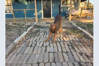 376 Jones Road, Cedar Creek, TX 78612 - Photo 40