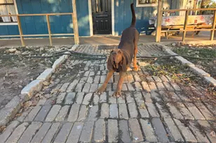 376 Jones Rd, Cedar Creek, TX 78612 - Photo 40