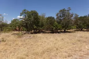 Lot 141 Pine Ln, Cottonwood Shores, TX 78657 - Photo 2