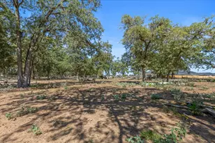 186 Fm 969, Bastrop, TX 78602 - Photo 22