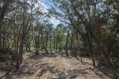 Tract 4 Mount Olive School Road, Wimberley, TX 78676 - Photo 4