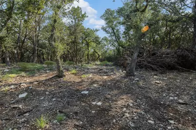 Tract 4 Mount Olive School Road, Wimberley, TX 78676 - Photo 14