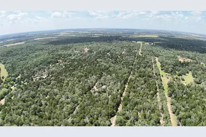 Tbd Lot 15 Pecan Street, Paige, TX 78659 - Photo 8