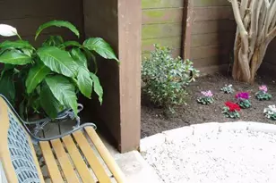 4409 Guadalupe Street N, Austin, TX 78751 - Photo 2