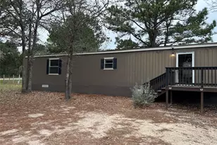 172 Old Potato Rd, Paige, TX 78659 - Photo 2