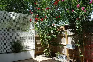 9009 N Plaza, Austin, TX 78753 - Photo 22
