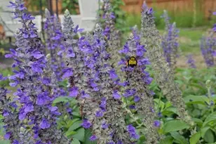 8008 Prairie Rye Dr, Lago Vista, TX 78645 - Photo 28