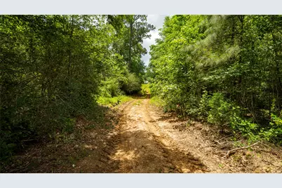 Tbd Fm 1488, Magnolia, TX 77355 - Photo 20