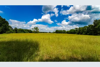 Tbd Fm 1488, Magnolia, TX 77355 - Photo 10
