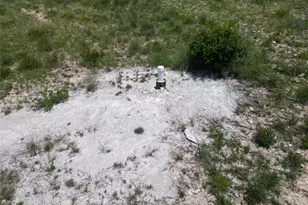 T B D River Shoals Dr, Kempner, TX 76539 - Photo 14