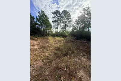 127 Koali Drive, Bastrop, TX 78602 - Photo 10