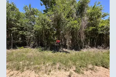 258 Kahana Lane, Bastrop, TX 78602 - Photo 8