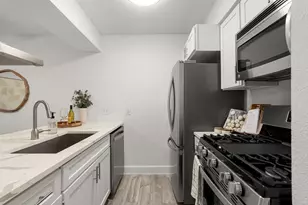 2020 S Congress Ave, Austin, TX 78704 - Photo 6