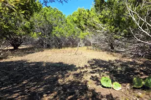 1801 Santa Cruz Cir, Lago Vista, TX 78645 - Photo 1