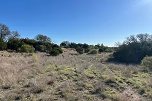 Lot 78 Bluff View Rd, Kempner, TX 76539 - Photo 2