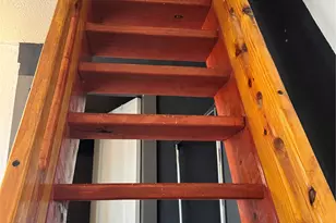 704 Franklin Blvd, Austin, TX 78751 - Photo 10