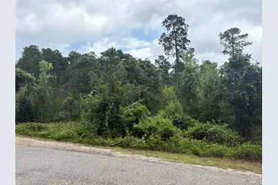 Tbd Kaena Lane, Bastrop, TX 78602 - Photo 2
