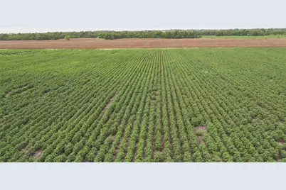 108 Cr 240A, Cameron, TX 76520 - Photo 10