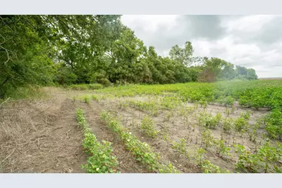 108 Cr 240A, Cameron, TX 76520 - Photo 24
