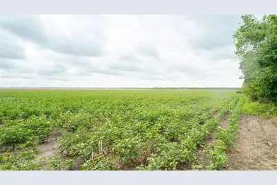 108 Cr 240A, Cameron, TX 76520 - Photo 18