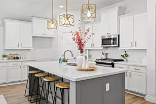 217 Magdalene Way, Liberty Hill, TX 78642 - Photo 4