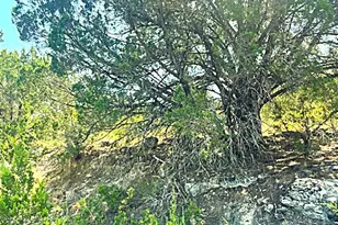 20001 Calhoun Ave, Lago Vista, TX 78645 - Photo 1